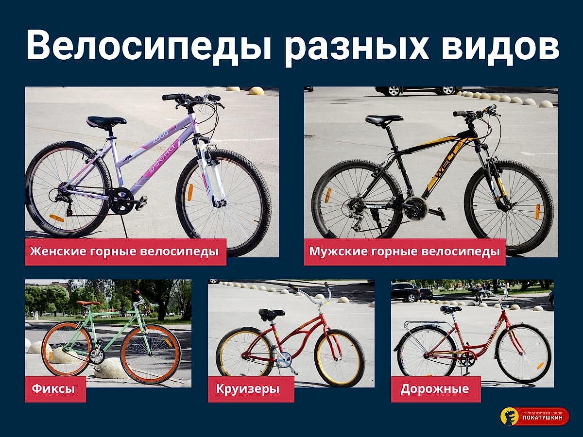 Много велосипедов разных видов