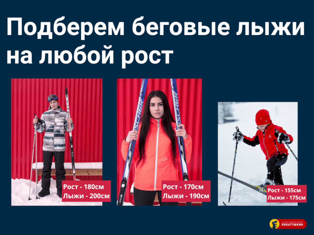 Беговые лыжи разных ростовок в прокате Покатушкин