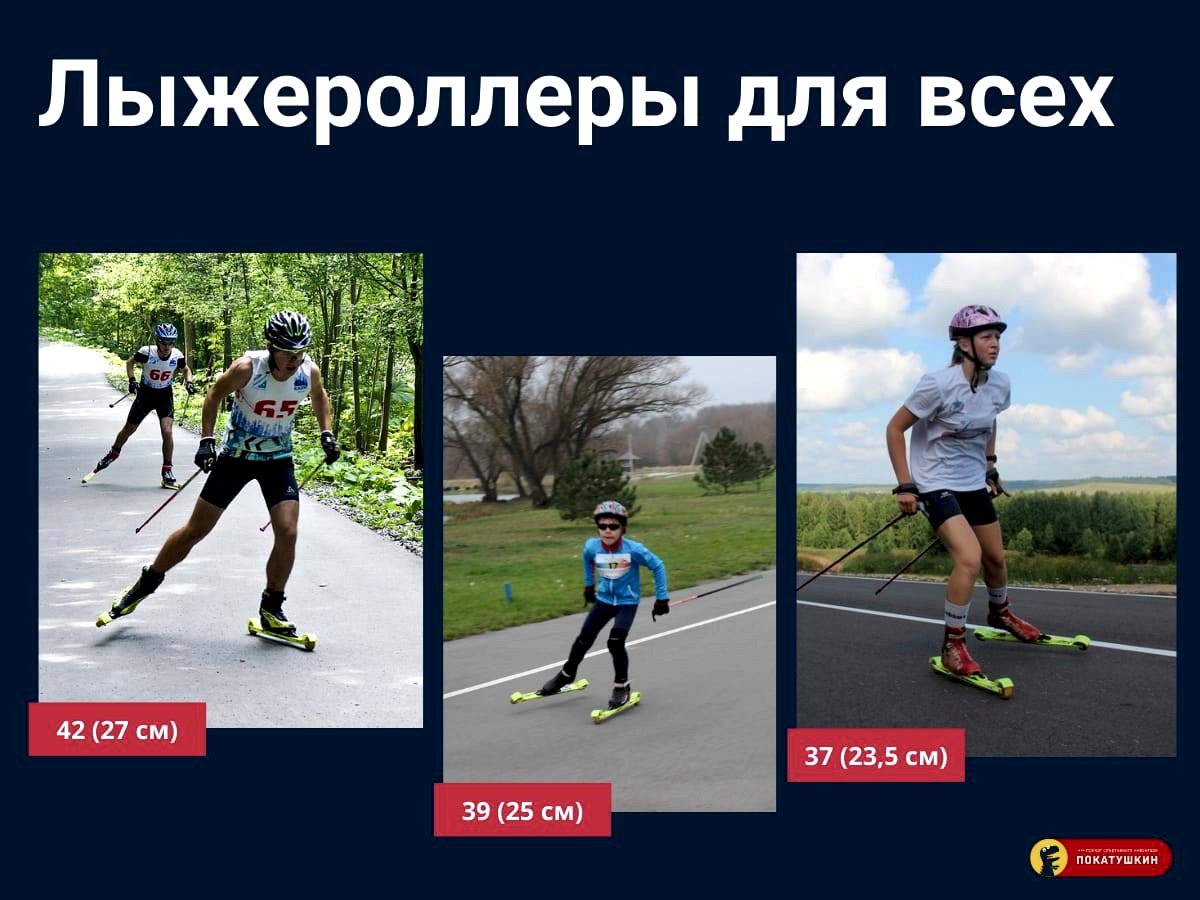 Лыжероллеры всех размеров