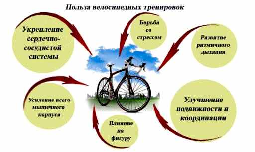 Польза велосипеда для здоровья в одной картинке