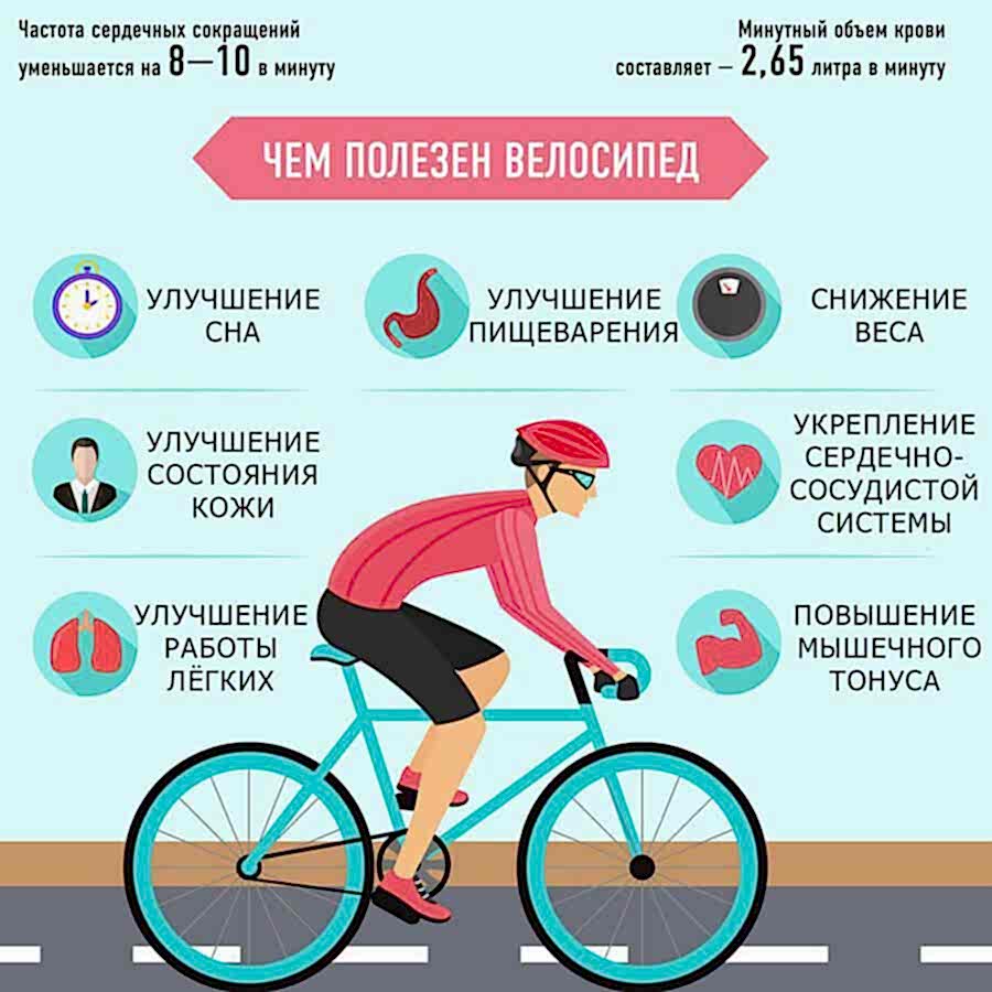 Иллюстрация, как велосипед влияет на организм