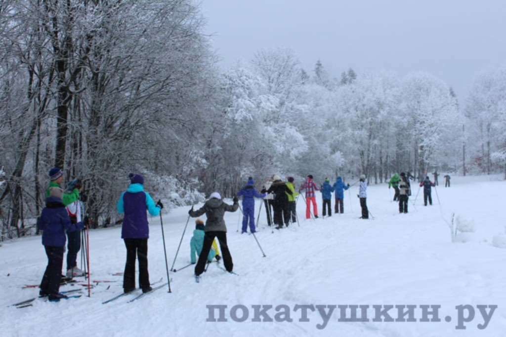 Организация зимних соревнований для семиклассников