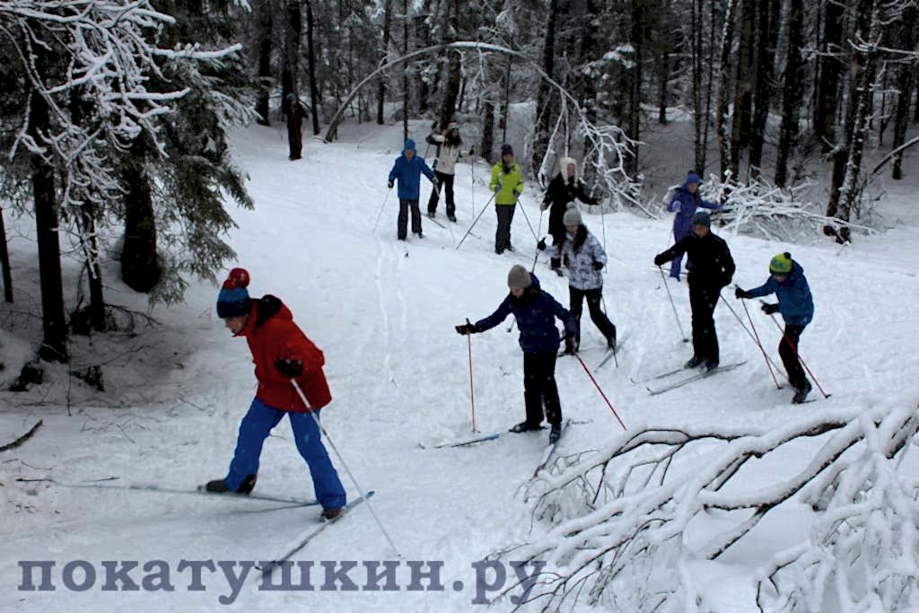Организация зимнего корпоратива для семиклассников